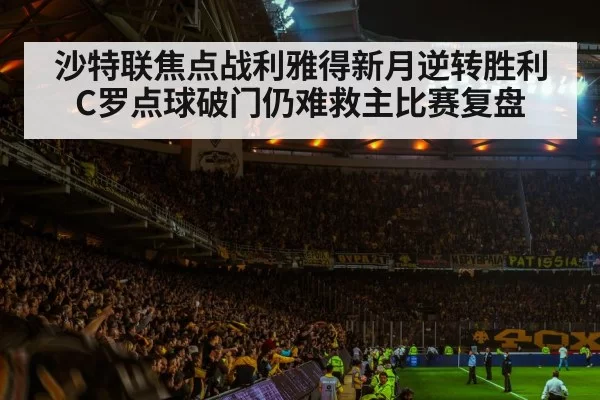 football stadium night crowd